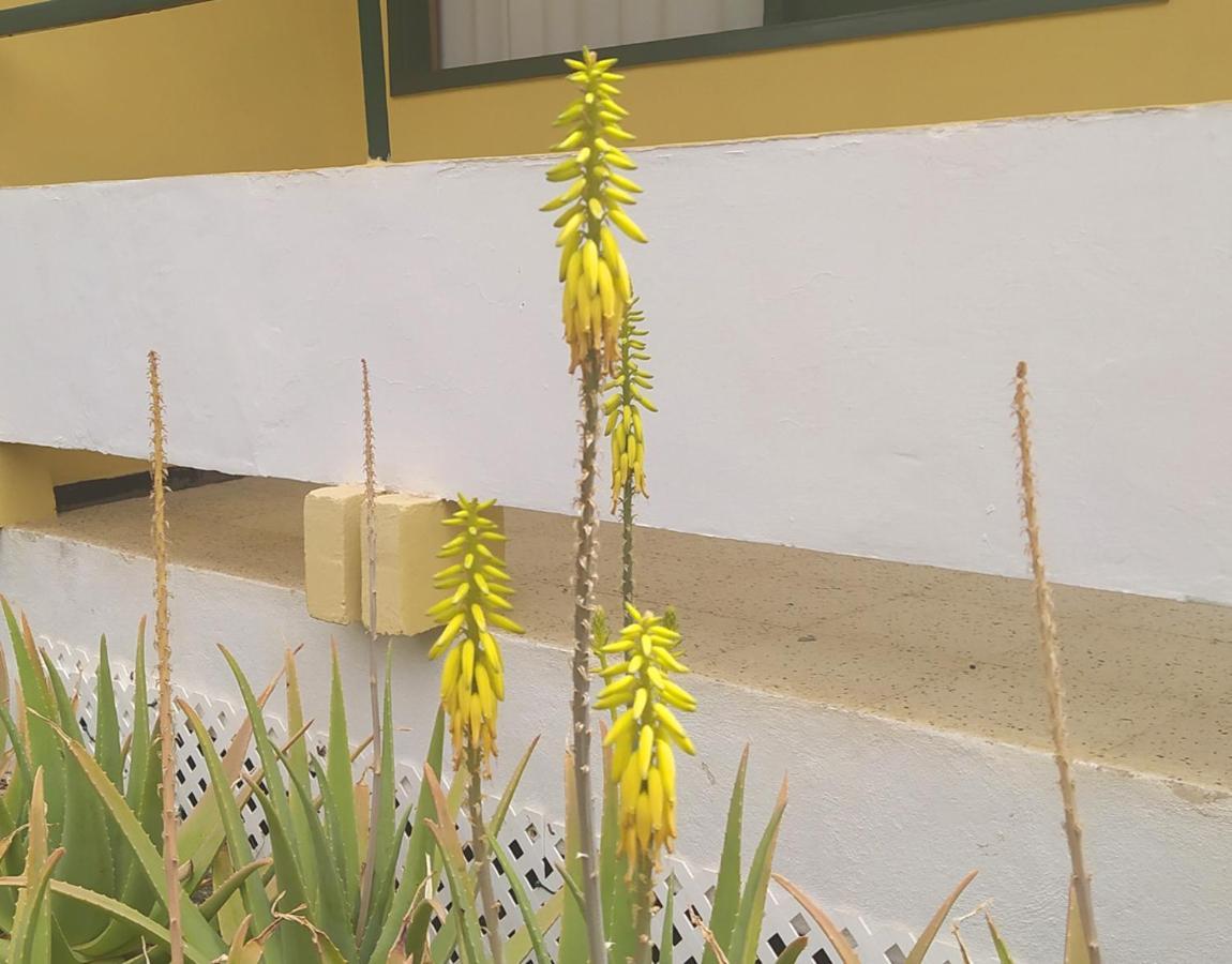 Caroni Apartment Playa del Ingles  Exterior foto